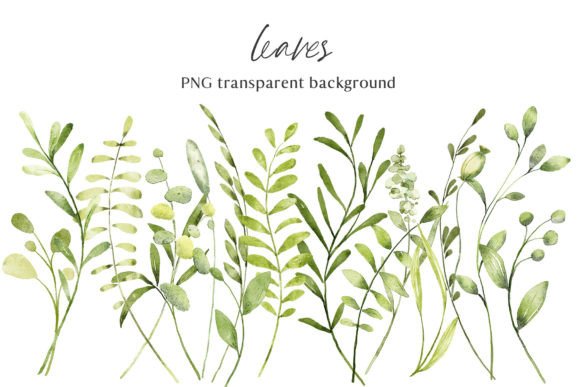 Download Leaves, Watercolor Clipart, PNG Files. - Leaves Collection